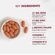 Dr. Morepen Iron & Zinc with Vitamin C & B12 Tablet 60's - Calcium And Minerals