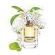Roberto Cavalli Paradiso Eau de Parfum 50 ml - Women Perfumes (Edt/Edp)