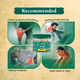 Medisynth Pain Relief Balm 18 g - Speciality Medicine
