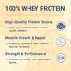 PentaSure 2.0 High Protein High Calorie Powder - Vanilla Flavour (Travel Pack Sachet of 3 x 54 gm) - Protein Drink