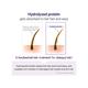 Kundal Honey and Macadamia Hair Treatment White Musk 500 ml - Conditioners