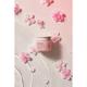 Innisfree Cherry Blossom Tone Up Cream 50 ml - Face Moisturizers