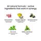 Wellbeing Nutrition Melts Healthy Hair with Plant Based Wholefood Biotin 10,000 mcg from Sesbania, Zinc, Bamboo Extract (30 Strips) - Hair & Skin