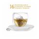 TGL Co. Green Tea Bag - Mogo Mogo 16's - Green/Herbal Teas