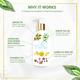 Anveya Hydrate & Nourish Shampoo 250 ml - Shampoos