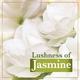Lux Bright Glow Jasmine & Vitamin E For Glowing Skin Beauty Bar Mega Pack (Pack of 3) 300 gm - Soaps