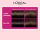 L'Oreal Paris Casting Creme Gloss Hair Color, 530 Praline Brown 159.5 Gm - Crème