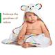 R for Rabbit Bambooberry Hoodie Baby Towel 1's - Bathing Essentials