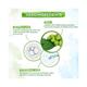 Mamaearth Leaves of Clarity Essence Serum For Acne Prone with Neem & Salicylic Acid for Clear Skin 30 ml - Face Serum