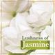 LUX Velvet Glow Buy 4 Get 1 Free Offer Jasmine & Vitamin E Bathing Soap For Glowing Skin Beauty Soaps 750 gm - Soaps
