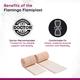 Flamingo Flamiplast Elastic Adhesive Bandage (OC - 2065) (10 cm x 4/6 m) 1's - Bandages & Dressings