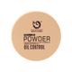 Matt Look Perfect Look Powder 2 in 1 Formula Oil Control, Powder + Base Concealer, Natural 20 gm - Compact Powder