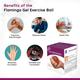 Flamingo Gel Excercise Ball - Red (OC - 2138) (M) - Abdomen/Neck/Arm/Elbow Supports