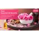 Rose Essential Oil - Improves Complexion, Evens Skin Tone - 100% Pure Therapeutic Grade 10 ml - Essential Oils