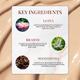Just Herbs Hydrating Skin Tint Medium Coverage with SPF 15 + Brahmi + Lotus, Ivory 01 20gm - Foundation