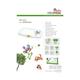 Rossmax Electronic Baby Scale (WE300) - Health Monitoring Devices