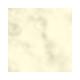 PAC Translucent Powder 11 10 gm - Loose Powder