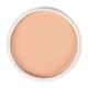 Matt Look Oil Control Waterproof Pan Cake, Face Makeup, Warm Focus 15 gm - Compact Powder