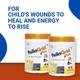 Pedia Gold Plus Vanilla 400 gm - Kids Nutrition