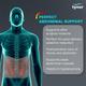 Tynor Abdominal Support (L) (A 01) - Abdomen/Neck/Arm/Elbow Supports