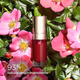 Clarins Lip Comfort Oil -03 Cherry 7 ml - Creams/Oils/Lotions