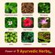 Navratna New Ayurvedic Cool Oil 450 ml - Hair Oils