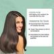 Silky Technobasics .03 Deli Care Daily Shampoo 1000 ml - Shampoos