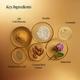 Forest Essentials Transformative Soundarya Night Cream With 24K Gold Cream for Dry Skin 12 gm - Night Cream