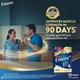 Ensure Powder - Vanilla Flavour 200 gm (Refill Pack) - Daily Health Drinks