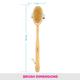 Vega Natural Bristle Bath Brush (NBA - 1/3) 1's - Loofahs & Sponges