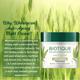 Biotique Wheatgerm Anti-Ageing Night Cream 50gm - Face Creams