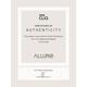 Allure Classic Lip Filler Makeup Brush 1's - Lip Brush