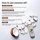 Organic Forest 100% VEGAN Pure Cold Pressed Coconut Oil for Hair & Skin 100 ml - Hair Oils