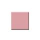Colorbar Vegan Nail Lacquer-Pep Talk-261 8 ml - Nail Polish