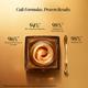 Forest Essentials Transformative Soundarya Night Cream With 24K Gold Cream for Dry Skin 12 gm - Night Cream