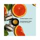 Juicy Chemistry Blood Orange & Rosehip Organic Lip Balm for Pigmented Lips 5 gm - Lip Balms