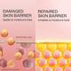 Lakme Peach Milk Light Moisturizer 2% Pro Ceramide, for Skin Barrier repair 120 ml - Lotions & Creams