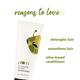 Plum Olive & Macadamia Rich Nourish Conditioner 200 ml - Conditioners