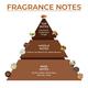 Blur India Unisex Perfume - Coffee Cake, Warm & Gourmand Eau De Parfum, Long Lasting Perfume 30 ml - Perfumes (Edt/Edp)