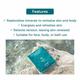 Thalgo Micronized Marine Algae Powder - 10X40G 1's - Masks & Peels