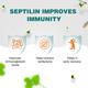 Himalaya Septilin Tablet 60's - Health Products
