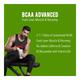 GNC AMP Gold Series BCAA Advanced Powder with Vitamin B6 - Green Apple Flavour 400 gm - Bcaa Supplements