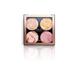 Revolution Cheek Kit Fresh Perspective 8.8 gm - Highlighters & Illuminators