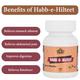 Cipzer Habb-E-Hilteet Pills 100's - Speciality Medicines