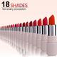 Matt Look Mega Last No Transfer Matte Lipstick With Smudge Proof Formula & Vitamin E, Loyal Beige-18 3.8 gm - Lipsticks