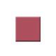 Colorbar Vegan Nail Lacquer-First Love-026 8 ml - Nail Polish