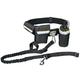 Trixie Premium Collar M-L 1's - Pet accessories