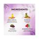 Astaberry Professional Mulberry Skin Whitening Creme 500 ml - Lotions & Creams