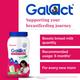 Galact Lactation Granules - Chocolate Flavor 400 g - Nutritional Supplements