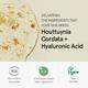 One Thing Houttuynia Cordata Serum 80 ml - Face Serum